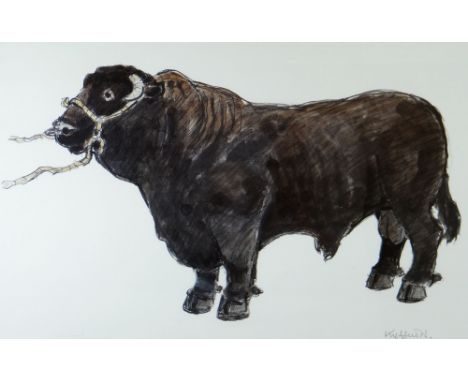 SIR KYFFIN WILLIAMS RA limited edition (7/75) coloured print - standing Welsh black bull, signed in full, 38 x 60cms Provenan