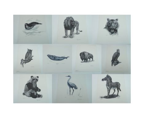 Complete set of 10 original limited edition lithographs from the World Wildlife Series, created in 1980 by artists Michael M.