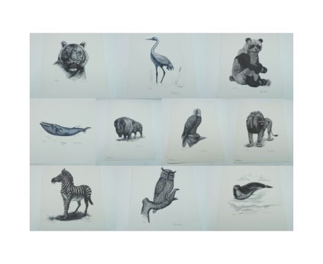 Complete set of 10 original limited edition lithographs from the World Wildlife Series, created in 1980 by artists Michael M.