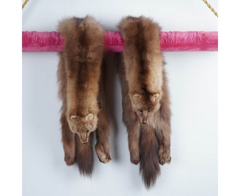 This pair of fur stoles showcases full pelt construction with heads, tails, and legs intact, a style once popular in early to