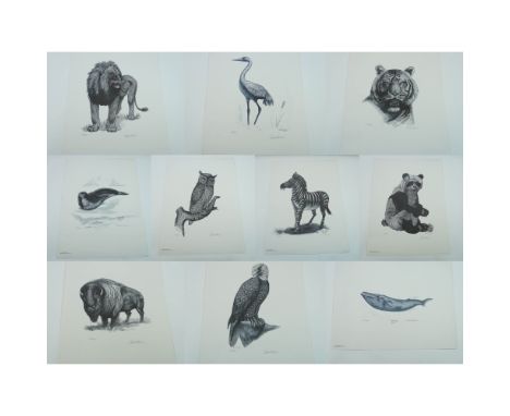 Complete set of 10 original limited edition lithographs from the World Wildlife Series, created in 1980 by artists Michael M.