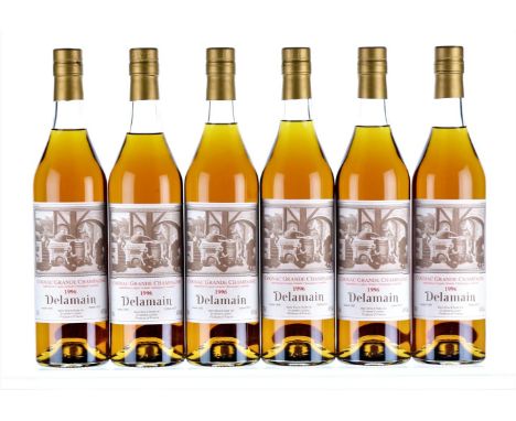 1996 Delamain  Landed 1998Bottled 20156x75cl