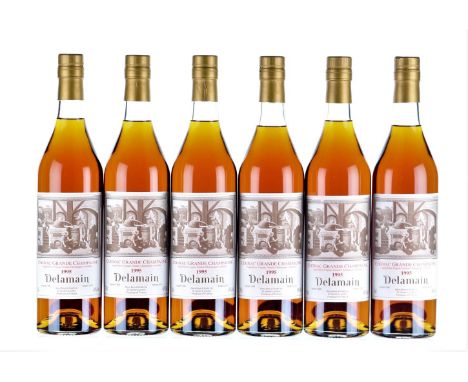 1995 Delamain  Landed 1996Bottled 20156x75cl
