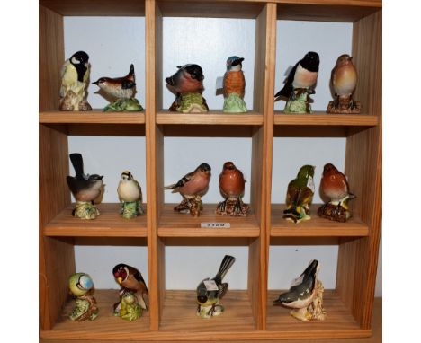 Beswick ceramic bird models including Greenfinch, Robin, Goldcrest, Nuthatch, Goldfinch, Bullfinch, Grey Wagtail, Stonechat, 