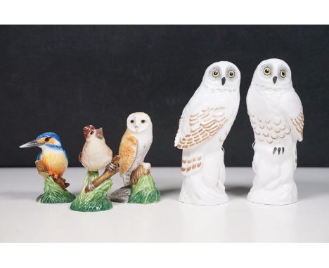 Trio of John Beswick bird figurines to include Wren, King fisher and Owl examples together with a Crown Staffordshire, Linley