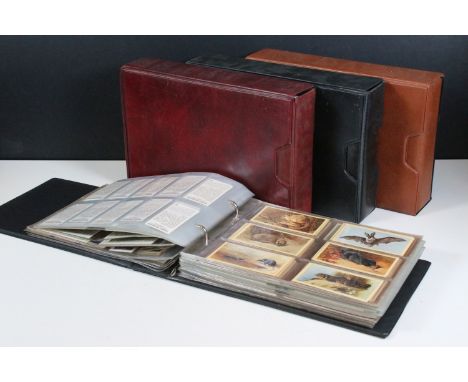 Large collection of cigarette cards contained within four collectors albums to include Will's, Player's, Grandee and Tom Thum