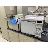 Agilent Gas Chromatograph System