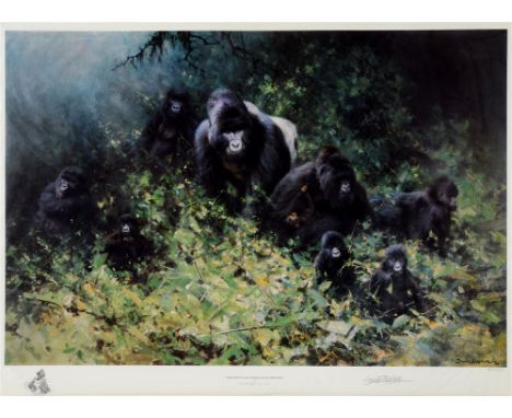 DAVID SHEPHERD (BRITISH, 1931-2017)  'The Mountain Gorillas of Rwanda',  colour print, published by Solomon & Whitehead, limi