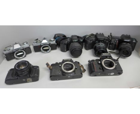 Four 35mm camera bodies, Nikkormat, Nikon F3, Minolta XG2 and X300and four 35mm cameras, Nikon F50 Canon EOS 750, Minolta Dyn