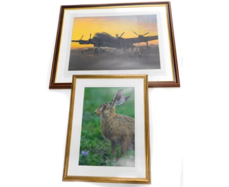 After Gerald Coulson. A Lincolnshire sunset 1944, artists signed limited edition print, number 141 of 500, also signed by var
