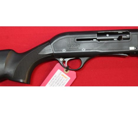 A 12 bore Magnum self-loading shotgun, S/No.113866 by Hatsan, this item can only be purchased by someone with a current valid