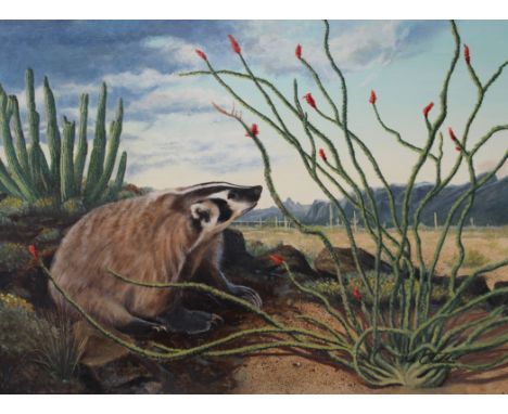 Kirk Stirnweis (Colorado, New Hampshire, B. 1967) "Badger" Signed lower right. Original Oil painting on Illustration Board. P