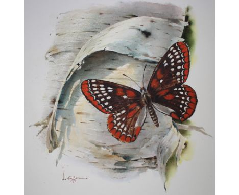 Lyle Tayson (American, 1924 - 2014) "Checkerspot Butterfly" Signed lower left. Original Mixed Media painting on Illustration 