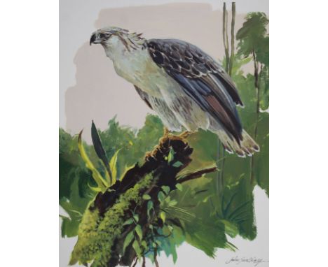 John Swatsley (American, B. 1937) "Philippine Eagle" Signed lower right. Original Oil painting on Illustration Board. Provena