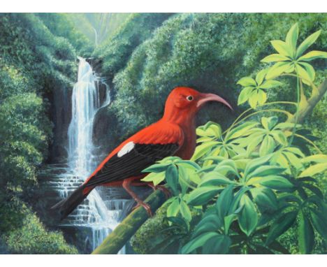 Kirk Stirnweis (Colorado, New Hampshire, B. 1967) "Liwi" Signed lower left. Original Oil painting on Illustration Board. Prov