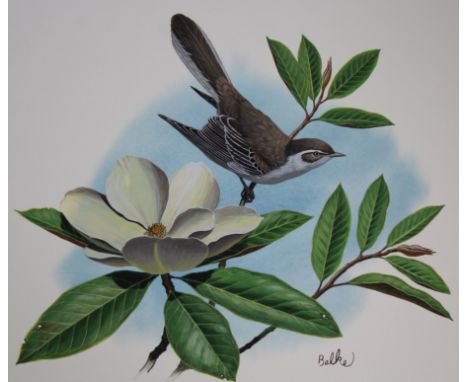 Don Balke (North Carolina, B. 1933) "Mockingbird and Magnolia" Signed lower right. Original Watercolor painting on Illustrati
