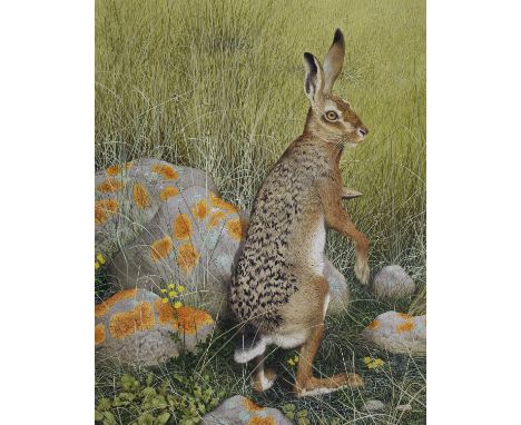 Ken Lilly (British, 1929 - 1996) "Hare" Initialed lower left. Original Watercolor painting on Paper. Provenance: Collection o
