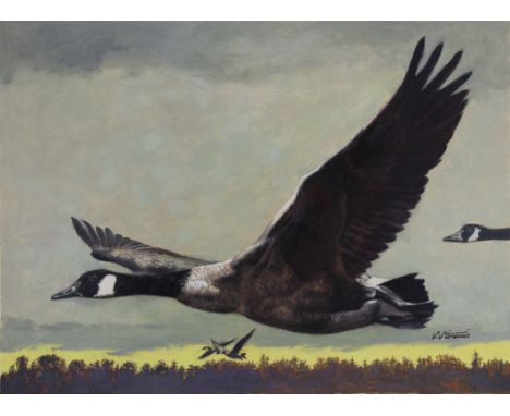 Shannon Stirnweis (Arizona, New York, New Hampshire Oregon, B. 1931) "Canada Goose" Signed lower right. Original Oil painting