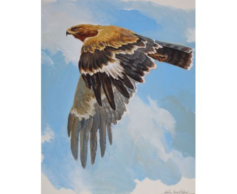 John Swatsley (American, B. 1937) "Tawny Eagle" Signed lower right. Original Acrylic painting on Illustration Board. Provenan