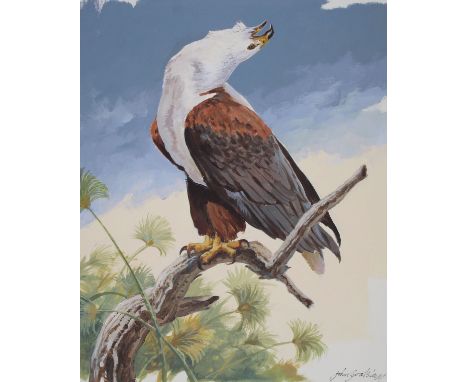 John Swatsley (American, B. 1937) "African Fish Eagle" Signed lower right. Original Oil on Illustration Board. Provenance: Co