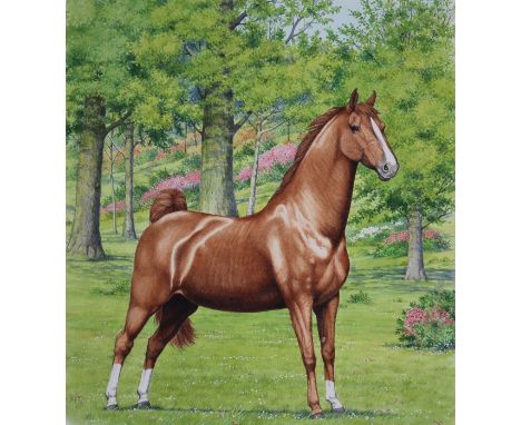Peter Barrett (British, B. 1935) "Saddlebred Horse" Signed lower left. Original Watercolor painting on Illustration Board. Pr