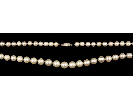 * Pearl Necklace. A string of 75 pearls with a gold catch inset with three old cut diamonds, the largest measuring approximat