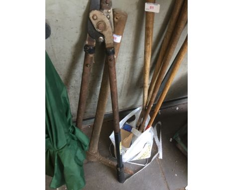 A pick-axe and loppers 