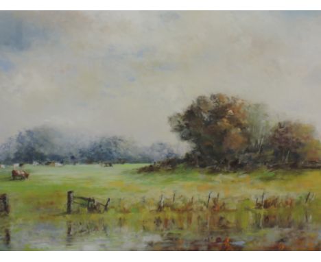 A pastel sketch, Alan Dent, Rusland Valley, signed and dated 2002, 37 x 52cm, plus frame and glazed