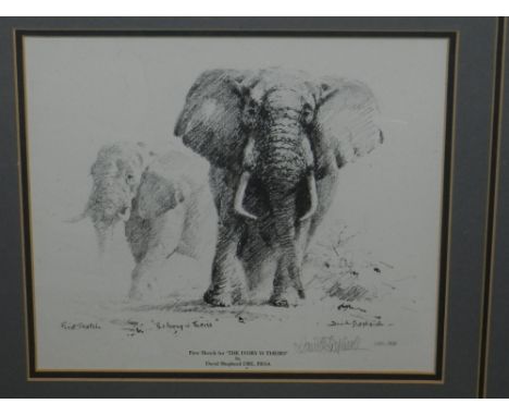 David Shepherd (British, b.1931), limited edition print of his first sketch of 'The Ivory is Theirs', hand signed in pencil, 