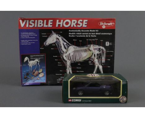 A Corgi 1:18 scale MGF 1.8i VVC roadster, displayed within its box and a Skilcraft Visible Horse anatomically accurate model 