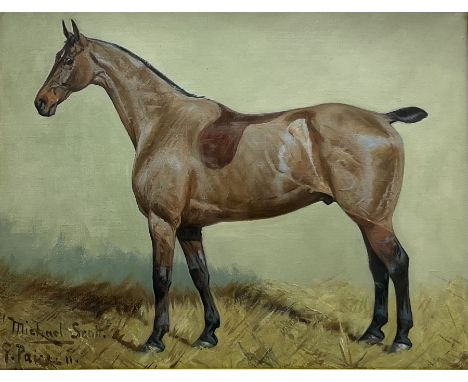 George Paice (British 1854-1925): 'Michael Scott' Portrait of a Hunter, oil on canvas signed titled and dated '11, 34cm x 44c