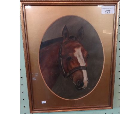 A portrait of a horses head, oil on board, 20cm x 26cm, glazed in a gilt frame.