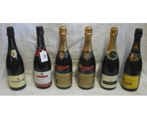 Six bottles of champagne and sparkling wine, to include: Perrier Jouet (1992), F. Duchatel, Heidsieck & Co and others, all 75