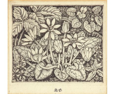 Robin Tanner (British, 1904-1988) 'Lesser Celandine' etching, signed with initials in black ink to lower centre margin 5½ x 5