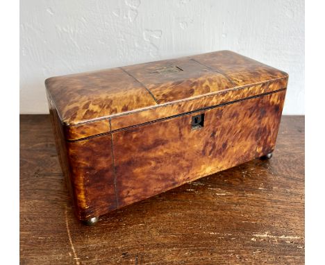 A Regency tortoiseshell tea caddy - rectangular with domed lid and silver metal stringing, on bun feet, the interior with two