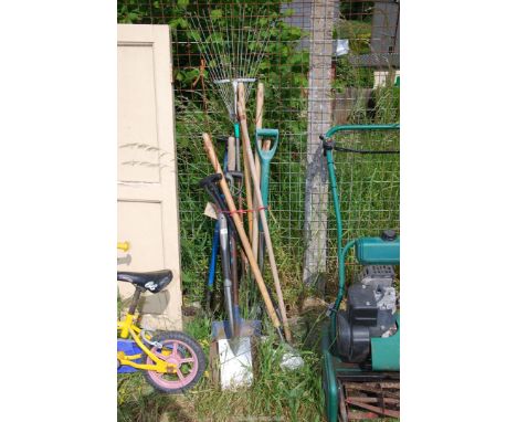 Stainless steel spade and hoes, edging shears, fork, shovels, rake etc.