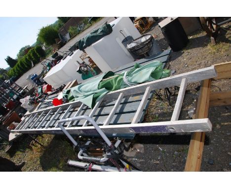 A single section twelve rung Aluminium ladder.