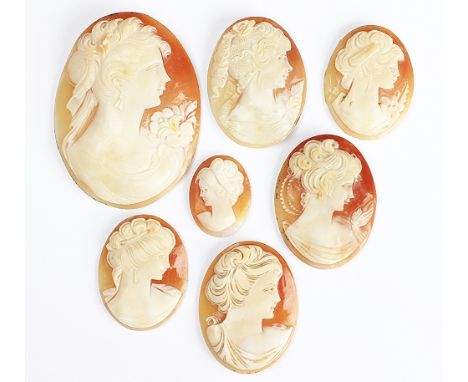 A collection of seven carved shell cameos, each oval disc depicting a portrait of a lady, largest 6cm high (6)