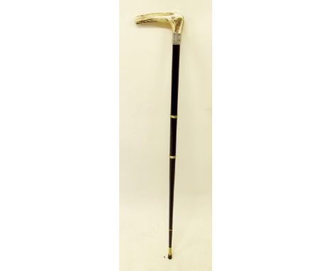 A horn handled walking stick 