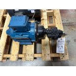 WEG GEAR PUMP