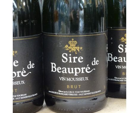 7 bottles of Sire De Beaupre Brut sparkling white wine (7)