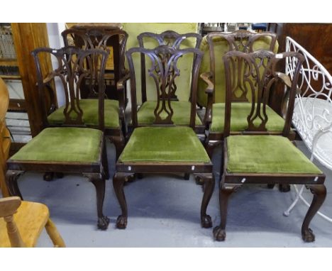 A set of 6 mahogany Chippendale style dining chairs, with interwoven pierced splat-backs, drop-in seats, on claw and ball fee