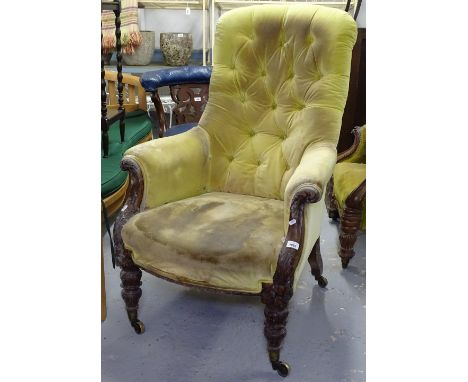 A William IV button-back upholstered armchair, with tulip carved legs 