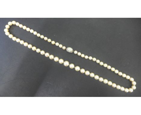 A single string of graduating pearls with an opal and diamond chip clasp in white metal - Length 52cm - graduating from appro