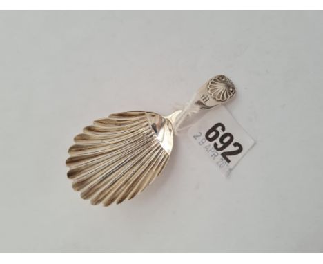 A William IV caddy spoon with shell decorated bowl and handle Edin bough 1832 by TAF