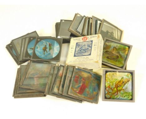 MAGIC LANTERN SLIDES. A quantity of magic lantern slides: boxed set of 'Reptiles; the story of St. Bernard; Biblical scenes &