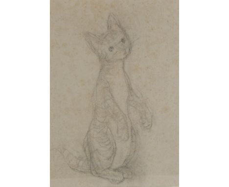 Anne Harriet Fish (1890 - 1964), cat study, pencil on grey paper, 26cm x 19cm, framedVery light foxing in the background, no 