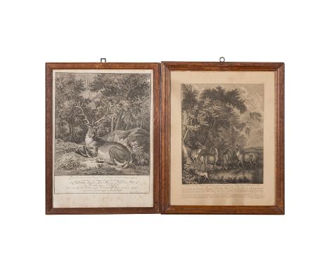RIDINGER, Johann Elias (1698-1767), 2 Jagdstiche, 1x "Disen Hirsch von ungeraden 16 Enden...", UND 1x "Diese Reche Böcke so a