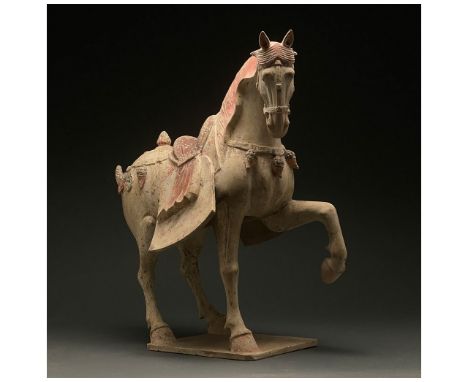 Ca. 618 - 907 AD. Chinese Tang Dynasty. An elegant hollow-moulded terracotta horse. This horse is modelled in a standing pose