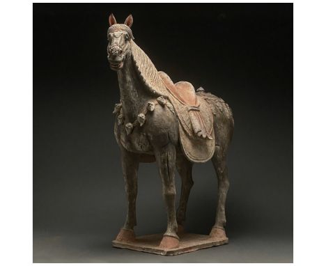 Ca. 618 - 907 AD. Chinese Tang Dynasty. An elegant hollow-moulded terracotta horse. This horse is modelled in a standing pose